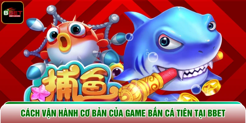 Cách vận hành cơ bản của game Bắn Cá Tiên tại BBET
